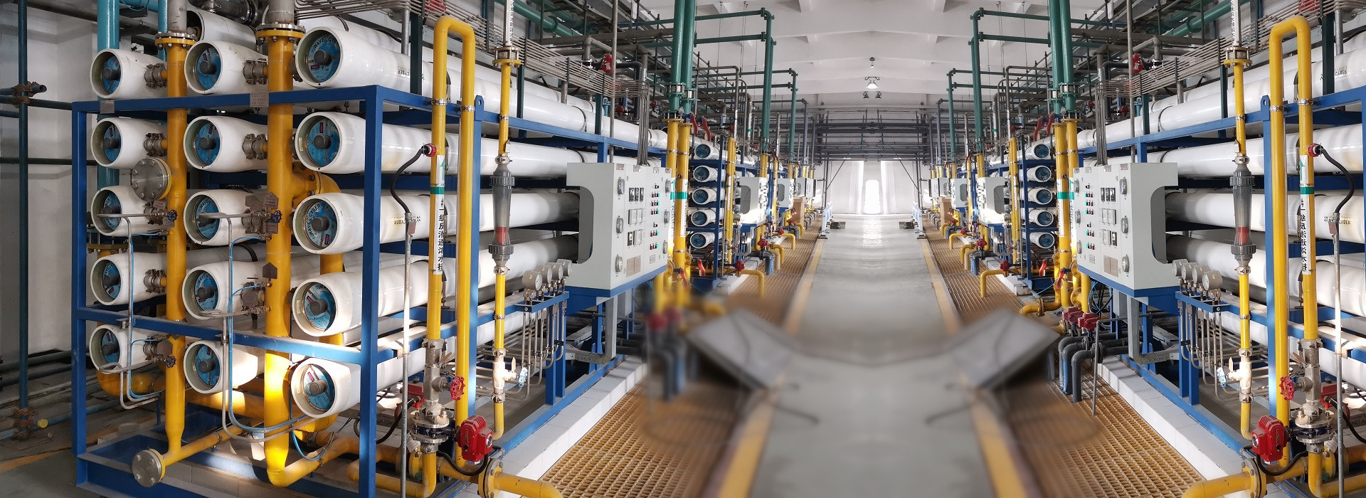 新利luck18(中国)体育·官方网站